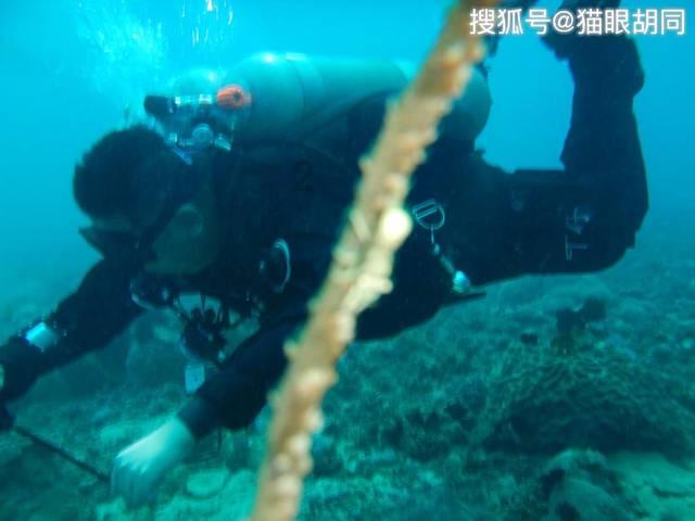 影子忍者传说